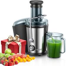 Juilist 800W : Centrifugeuse Extracteur de Jus