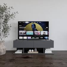 Meuble TV Anemone Moderne 50" avec 2 Portes